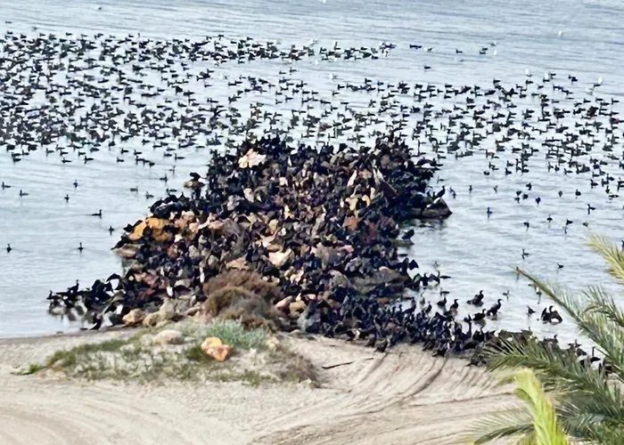 Atardeceres & Jacuzzi Apartment La Manga del Mar Menor